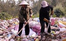 Nhà máy rác của ông Minh 