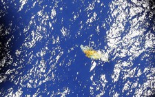 Tiết lộ sốc về lời cuối của phi công MH370