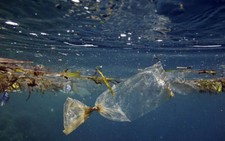 Tìm máy bay MH370, phát hiện đại dương tràn ngập... rác