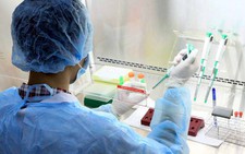 Áp dụng phần mềm giám sát bệnh truyền nhiễm trên cả nước