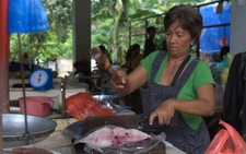 Đi chợ hải sản ở El Nido