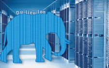 Dữ liệu lớn: Coi chừng nhầm rừng với cây