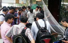 Chuyên gia Nhật: 