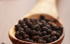 Giá hạt tiêu tăng, lãi khá cho người trồng