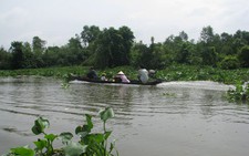 Cần giải quyết 