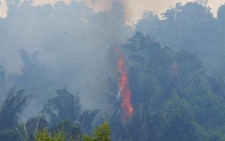Cháy lớn ở rừng đèo Cả