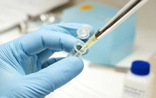 Sắp có vaccine ngăn ngừa sốt xuất huyết