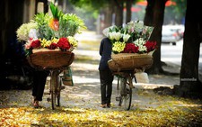 Hà Nội và những gánh hàng rong