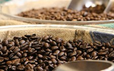 Triển vọng xuất khẩu nông, thủy sản sang thị trường Israel