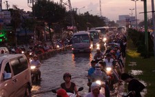 Đường dây nóng: nhiều than phiền 