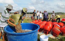 Nhà nông, doanh nghiệp hợp tác phát triển tôm nguyên liệu sạch