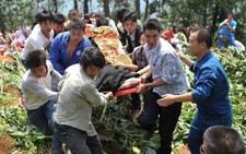Sống sót kỳ diệu 3 ngày sau động đất