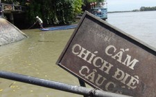 Bên phóng sinh, bên… chích điện đánh, bắt