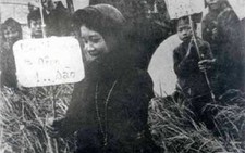 Nhìn lại “Cải cách ruộng đất 1946 - 1957” qua tài liệu, hiện vật