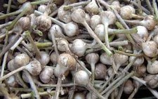 ​Những loại thực phẩm giảm bệnh