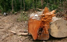 Công an Đắk Lắk nói 