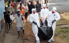 ​Ebola khiến Tây Phi cần hàng trăm triệu USD tài trợ