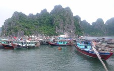 Quảng Ninh ngừng hoạt động đội tàu du lịch để tránh bão