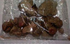 Sỏi san hô lớn 