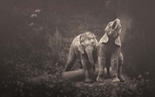 Xúc động bộ ảnh 