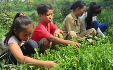 ​Mồ côi tội lắm ai ơi