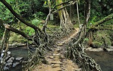 Đi trên những cây cầu kỳ lạ nhất thế giới