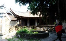 Mở tour hàng ngày hút khách du lịch bận rộn