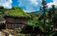 Ngôi nhà thân thiện môi trường