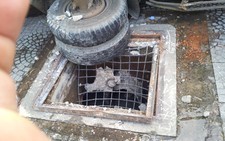 Rà soát toàn bộ nắp cống