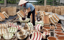 ​Làng Lưu Thượng giữ gìn nghề đan guột truyền thống