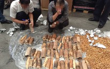 ​“Đặc nhiệm” chống buôn lậu... ngà voi