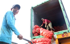 Thúc nhà xe giảm cước khi xăng dầu giảm lần thứ 9