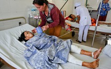 Heo rừng tấn công, 1 người chết