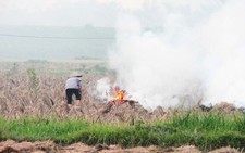 ​Giữ cho nông nghiệp tăng trưởng xanh