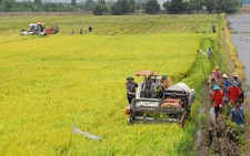 ​WB giúp Đồng bằng sông Cửu Long ứng phó biến đổi khí hậu