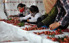 ​Thúc đẩy công nghiệp chế biến nông sản