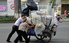 Tình người trên phố