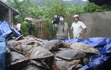 Lại phát hiện số lượng 
