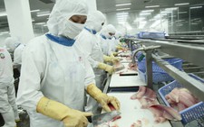Doanh nghiệp thủy sản sẽ đóng cửa hàng loạt?