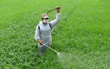 ​Bệnh “nghề nghiệp” của nông dân
