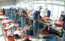 Lùi thời hạn về tỉ lệ nước, mạ băng mới trong cá tra