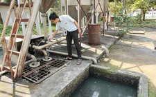 TP.HCM:  không hoàn thành 4/7 mục tiêu giảm  ô nhiễm môi trường