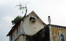 ​Người trẻ đang đập cánh...