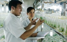 ​Giảng viên phải dành 1/3 thời gian để nghiên cứu khoa học