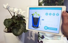 Thị trường máy tính bảng lần đầu sụt giảm