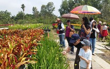 Nhộn nhịp làng hoa kiểng Tân Quy Đông