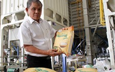 Đưa thương hiệu gạo Việt ra nước ngoài