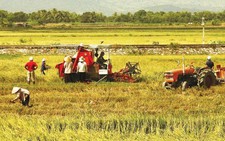 Nông dân làm ăn lớn