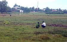Lãnh án vì phun thuốc diệt cỏ chết rẫy mía của anh rể