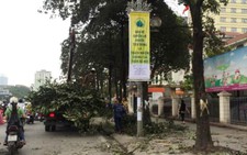 ​Cộng đồng mạng tìm cách 